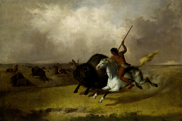 Buffalo Hunt on the Southwestern Prairies 1845
