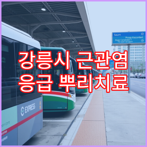 강릉시 근관염 응급 뿌리치료 당일 가능한 치과 치료 과정