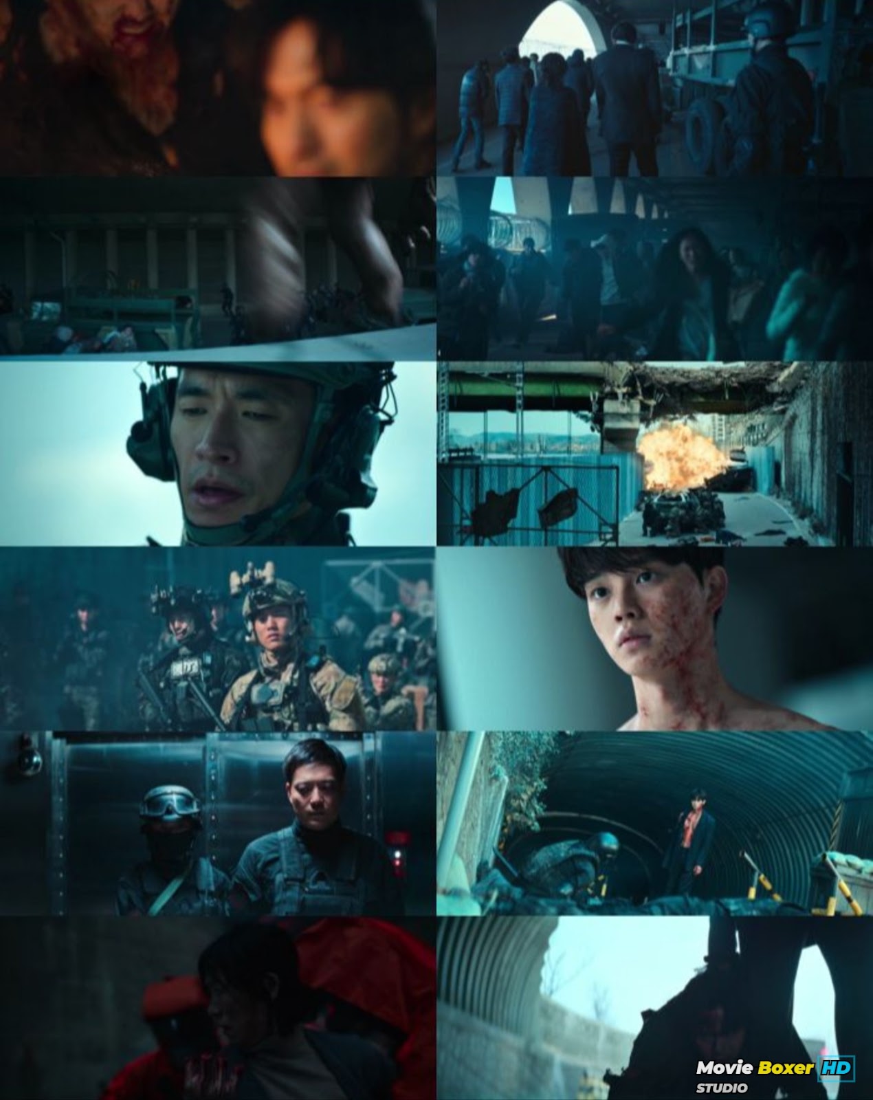 Screenshots Grid