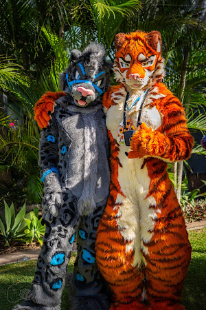 furdu-04016.jpg
