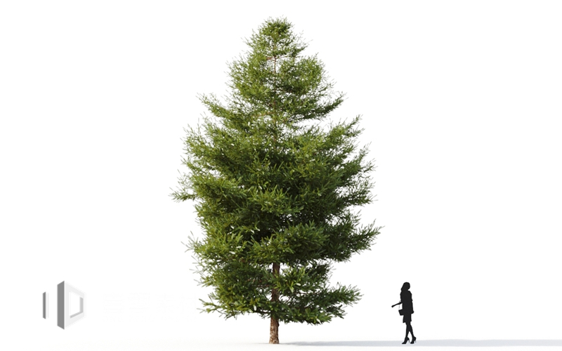 Maxtree - Plant Models Vol.9