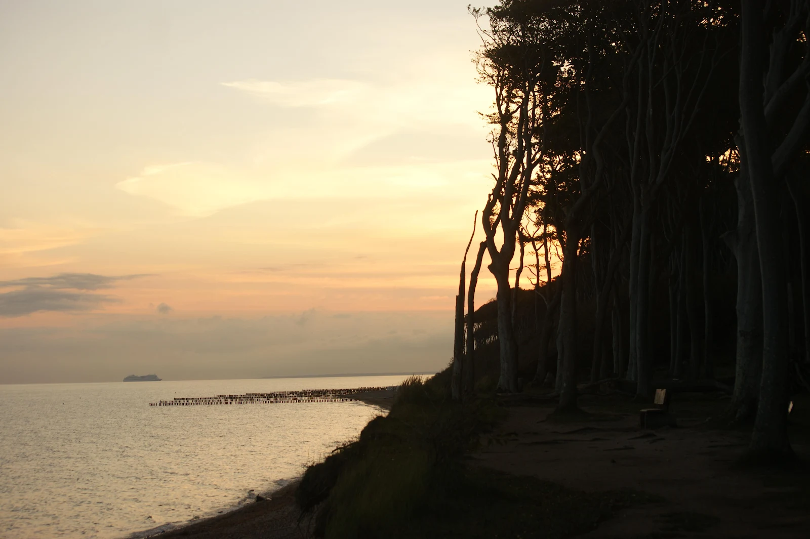 Coastal Forest Silhouette At Sunset - Landscape Photography 4K Wallpaper (4592x3056)