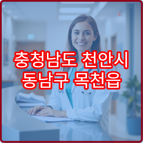 충청남도 천안시 동남구 목천읍 설날 명절 당직약국 영업시간 안내