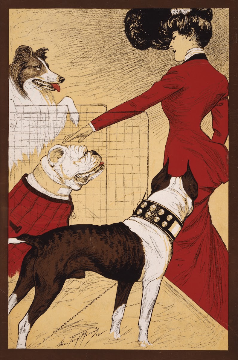 Chicago Kennel Clubs dog show 1902