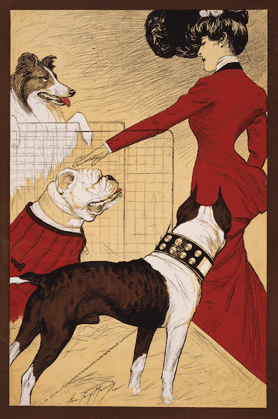 Chicago Kennel Clubs dog show 1902