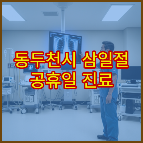 동두천시 삼일절 공휴일 진료 병원 어디서 확인? 대체공휴일 운영 시간 안내