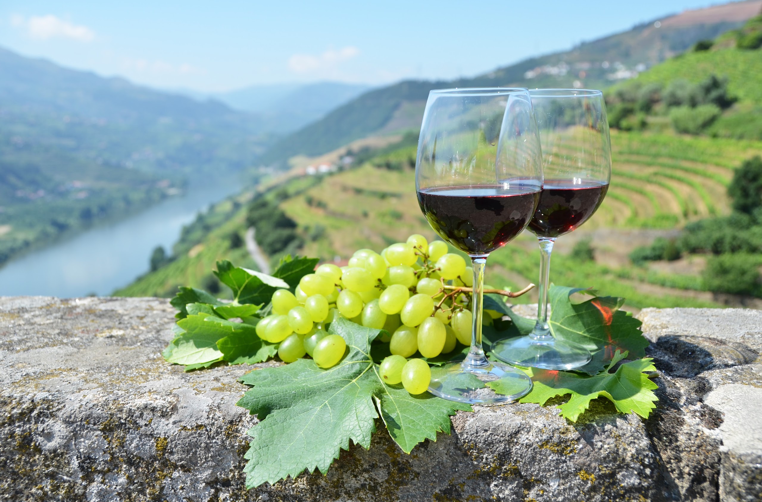 Douro Valley near Six Senses