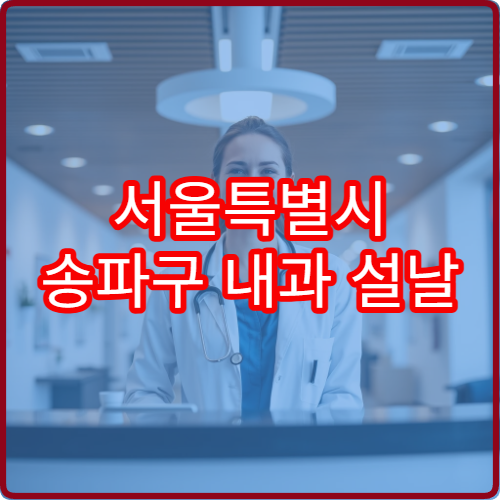 서울특별시 송파구 내과 설날 명절 연휴 진료 병원 고혈압·당뇨 응급 관리 가능