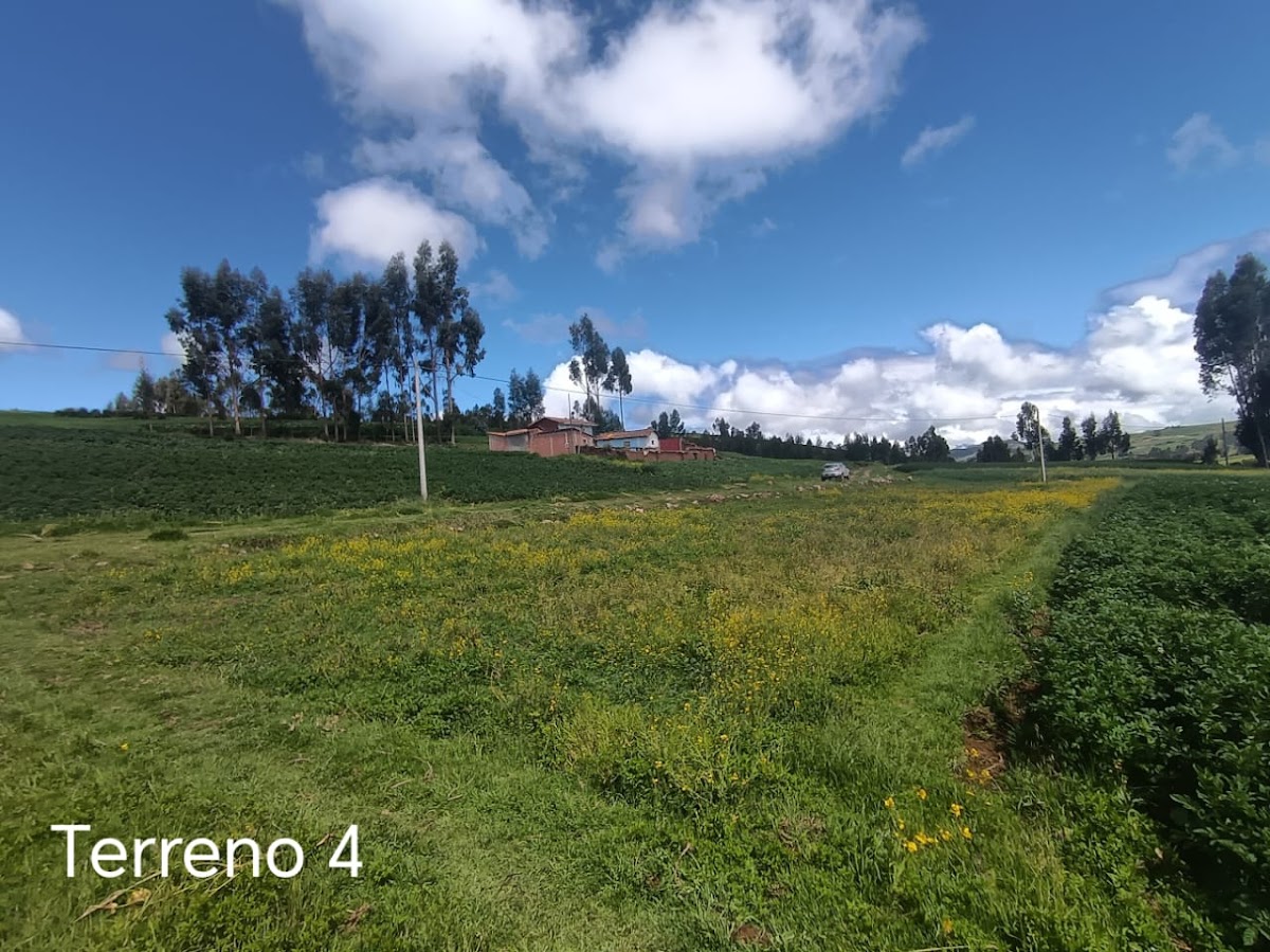 Imagen 21 de Terreno