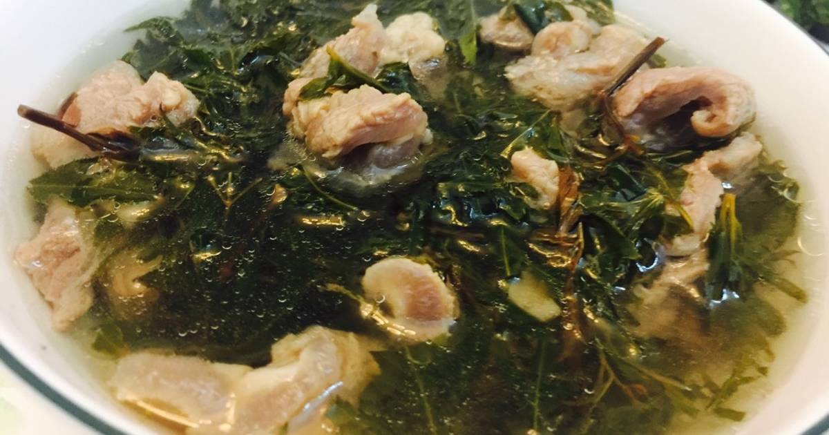 Gân bò lá đinh lăng