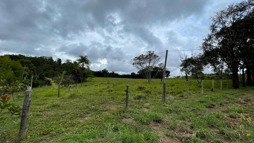 Chácara em Piracanjuba - GO 4