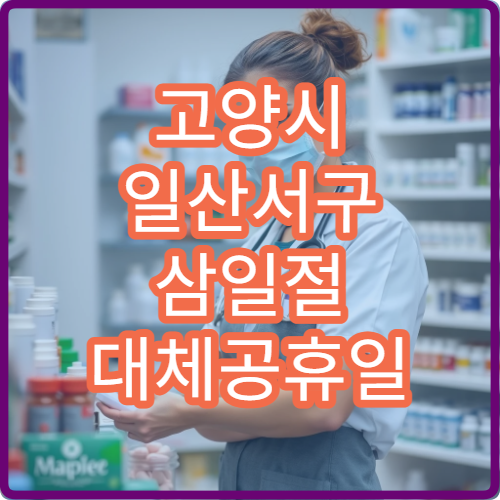 고양시 일산서구 삼일절 대체공휴일 노인내과 연휴 진료 병원 낙상·혼수상태 상담 가능