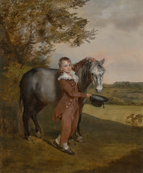 A young boy holding a pony and hat in a landscape