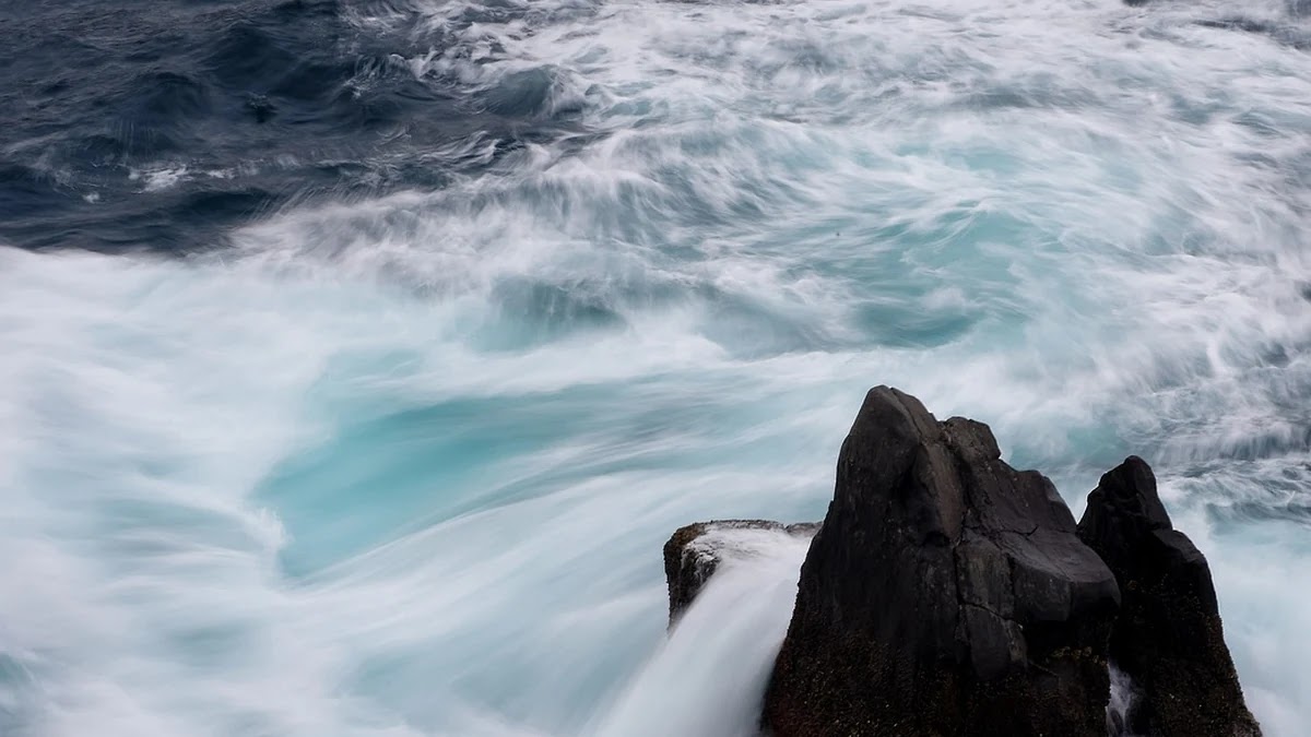 소비자 심리에서 가격 앵커링이 구매 결정에 미치는 영향 분석