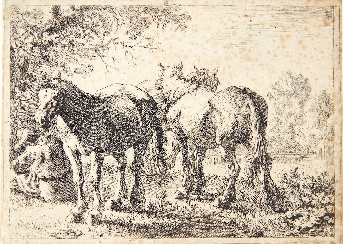Tre heste tv en siddende bonde 1638