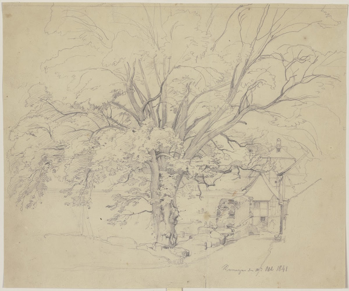 Alter Baum an einer Straße in Remagen 1841