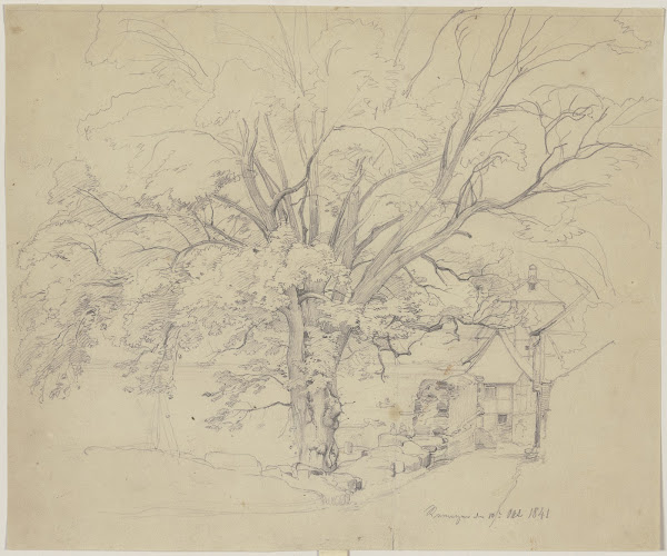Alter Baum an einer Straße in Remagen 1841