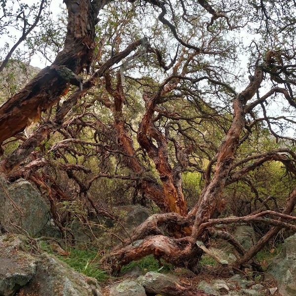 Travesías por Traslasierra
