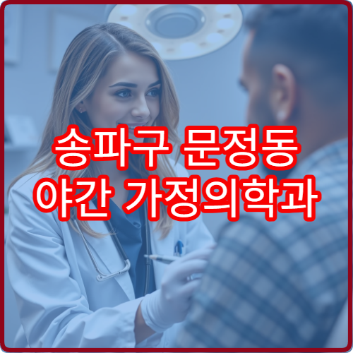 송파구 문정동 야간 가정의학과 진료 병원 종합 건강 진료 안내