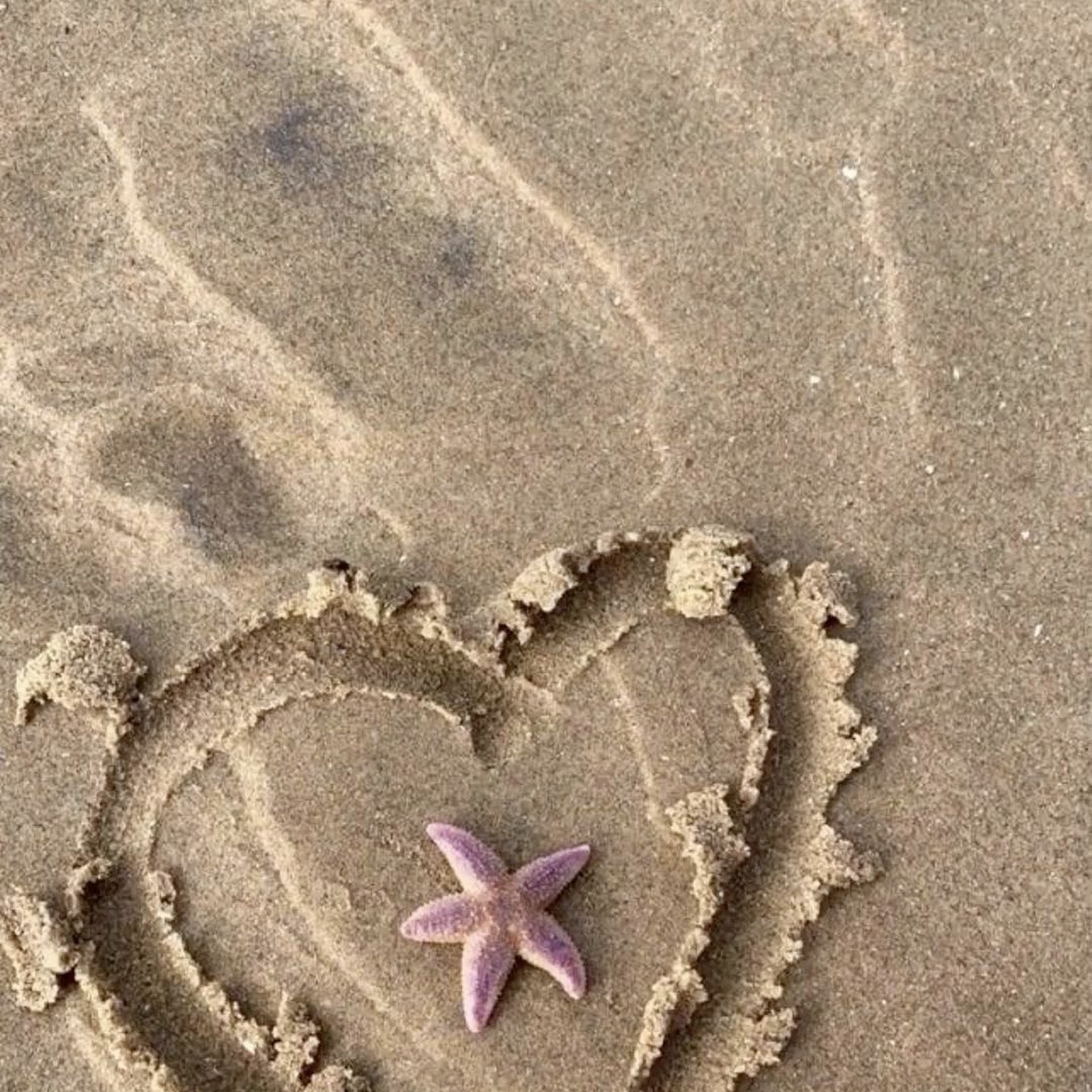 Download Purple Starfish In Sand Heart Full HD iPhone
