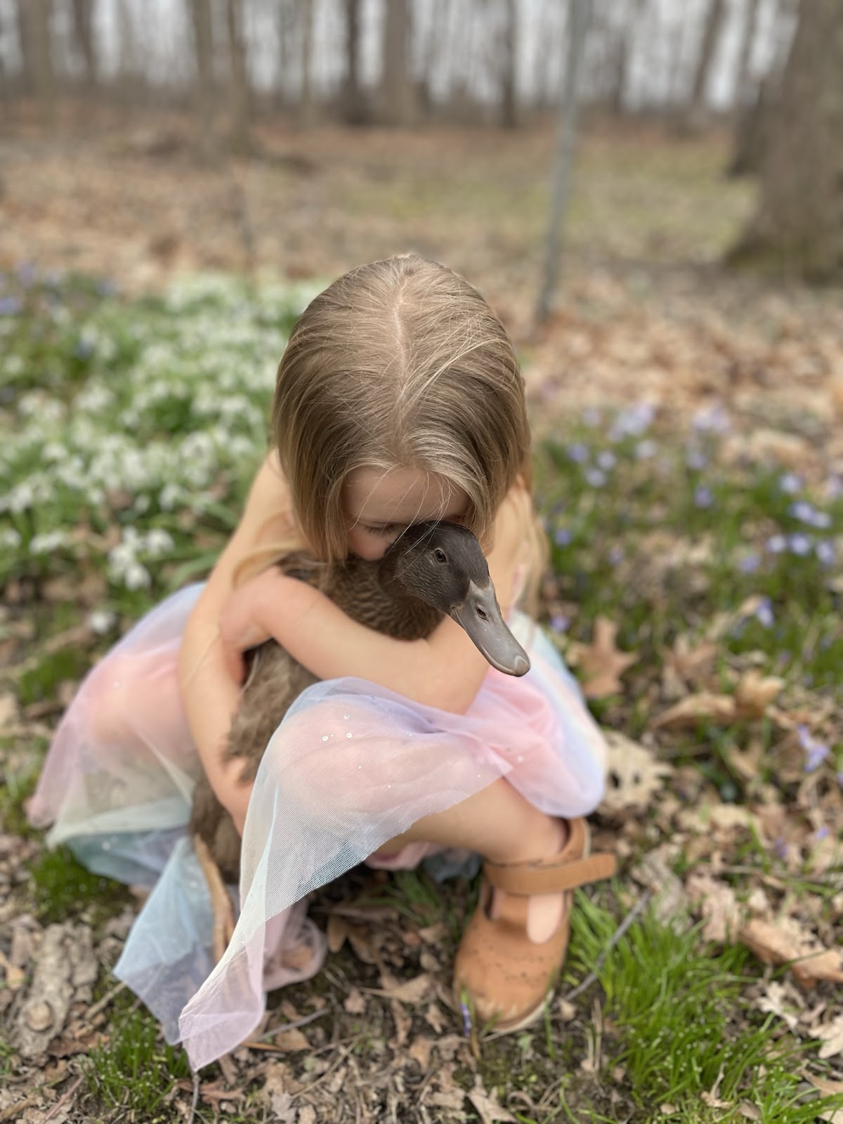 Golden 300 Hybrid Duckling