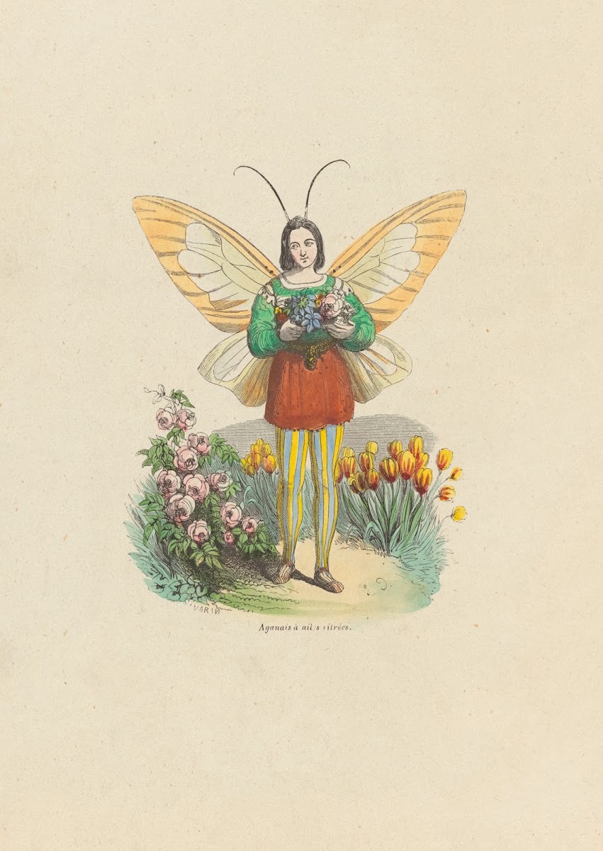 Le triomphe de cypris 1852