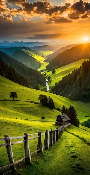 Nature Picture