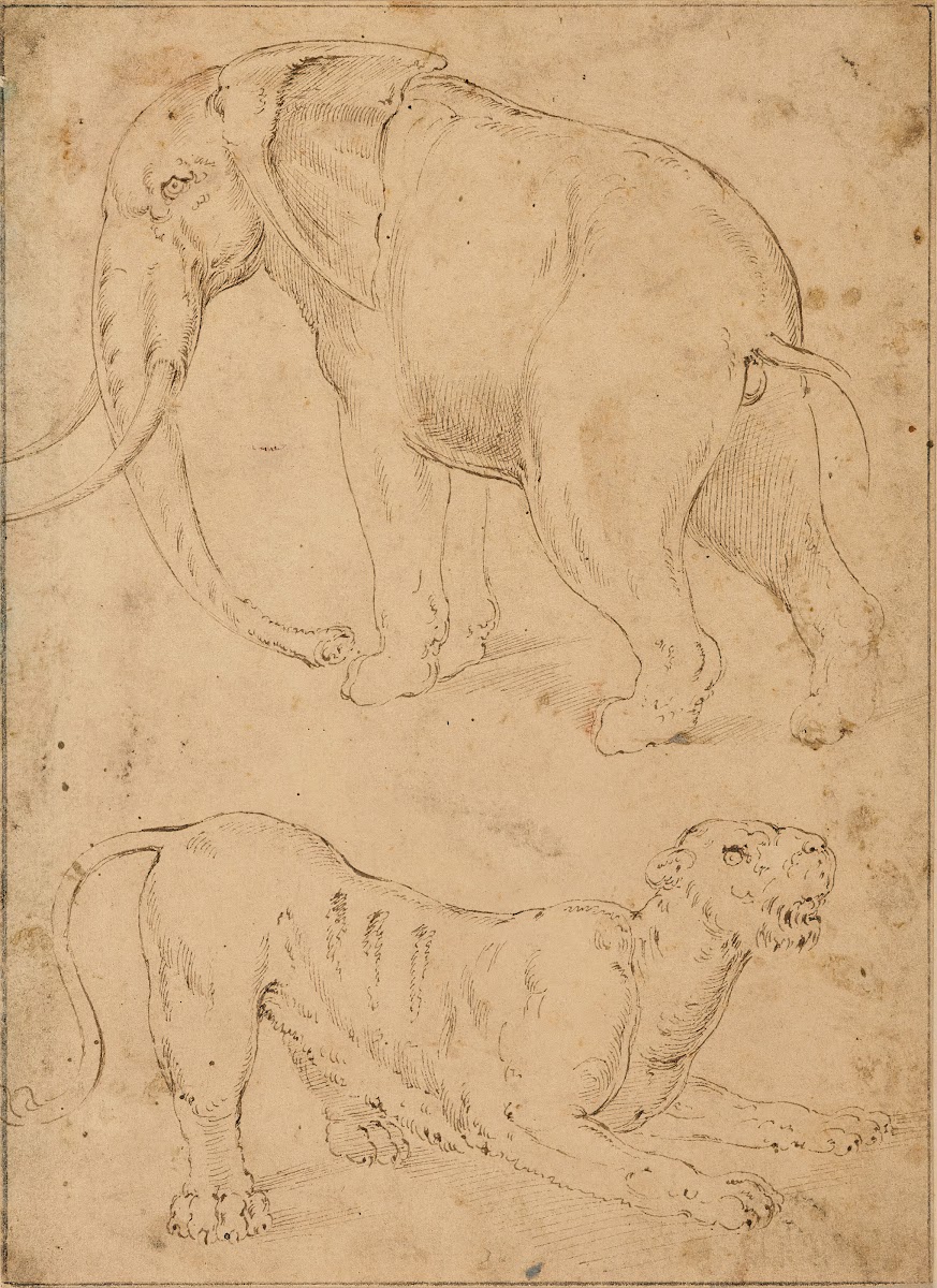 Étude dun éléphant et dune panthère
