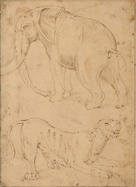 Étude dun éléphant et dune panthère