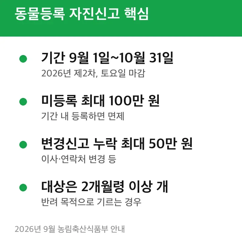 동물등록 자진신고 핵심