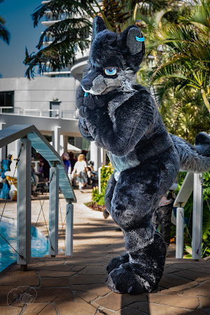 furdu-03969.jpg