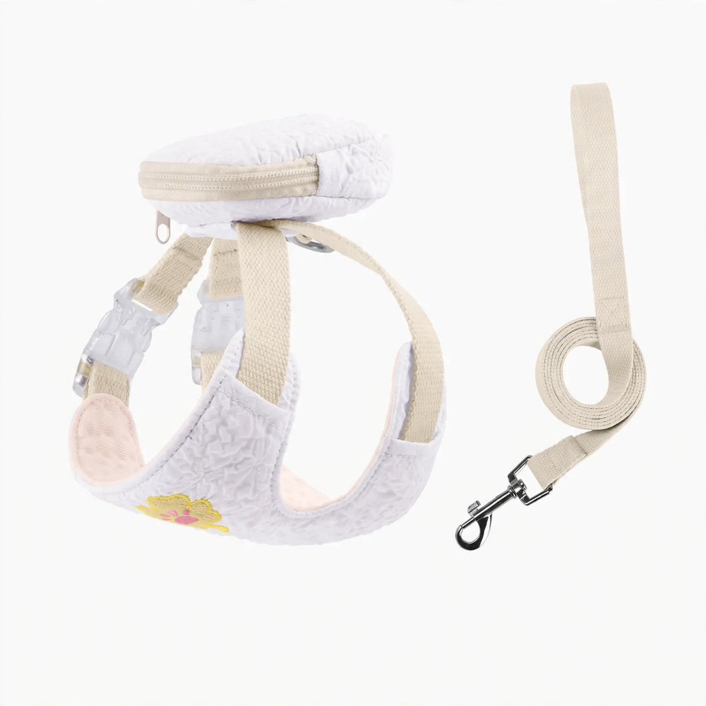 Breathable dog harness with leash, summer