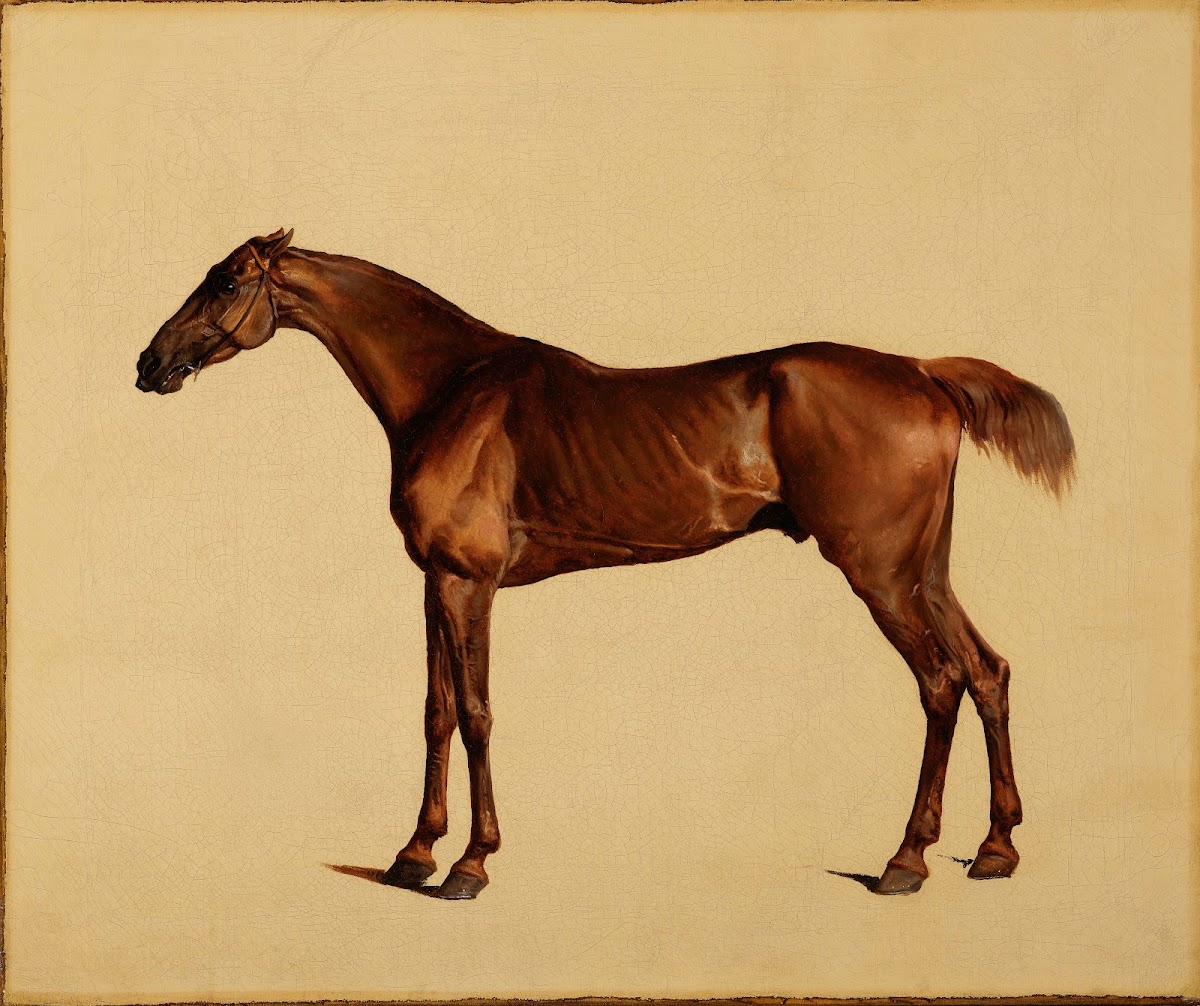 Pangloss 1762