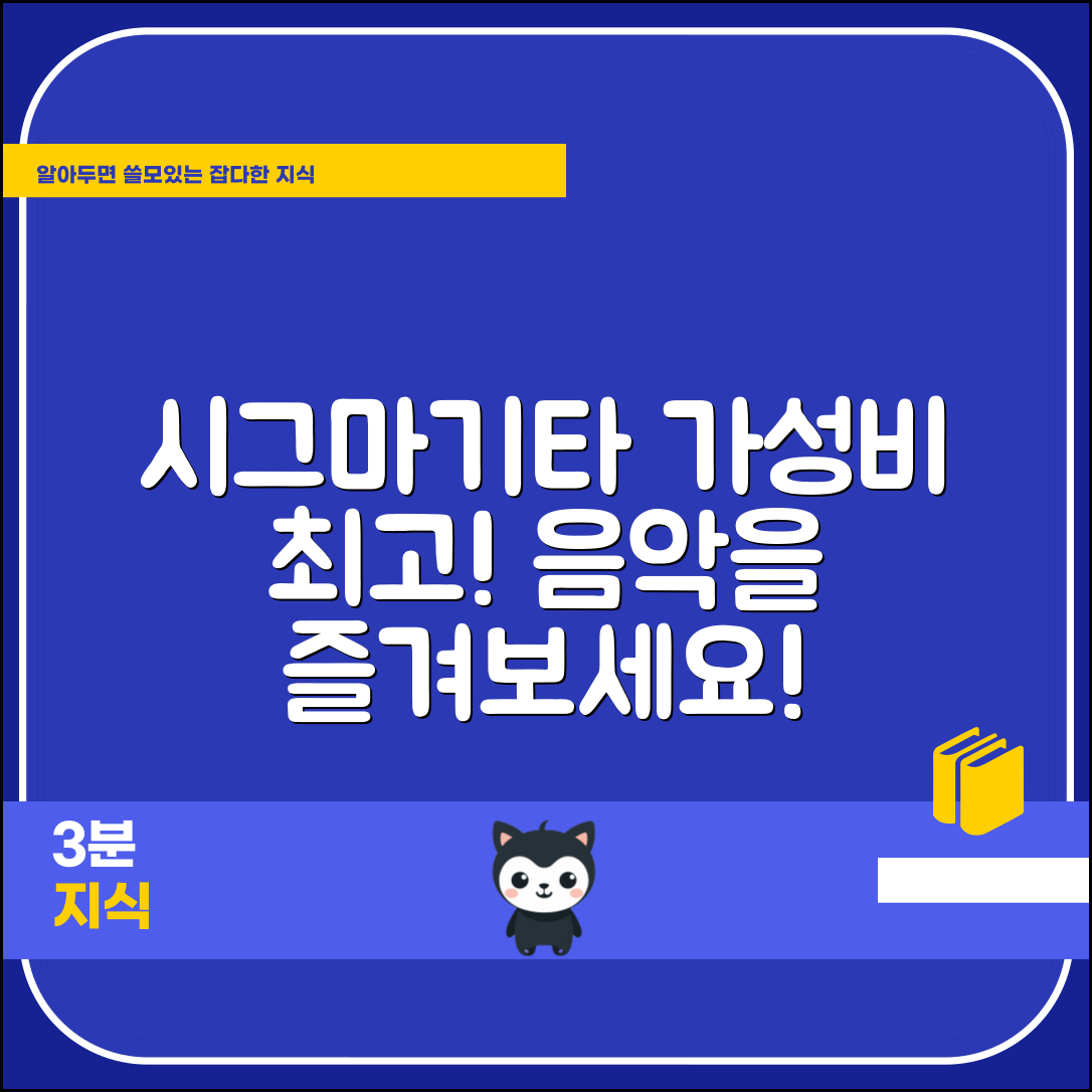 “시그마기타, 놀라운 가성비로 음악을 즐겨보세요!”