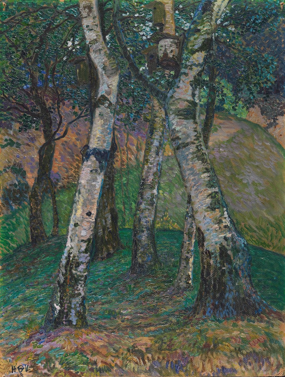 Birken am Barkenhoff 1913