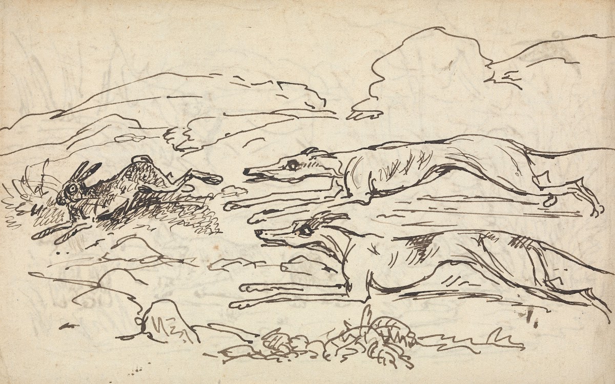 Hounds Chasing a Hare