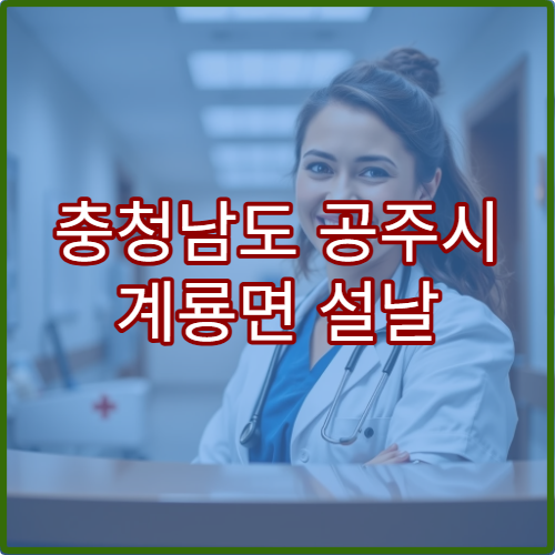 충청남도 공주시 계룡면 설날 명절 당번약국 운영시간 위치 안내