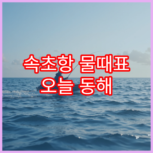 속초항 물때표 오늘 동해 조수간만과 낚시 일정 안내