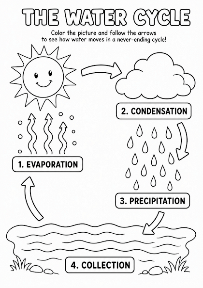 Color the Water Cycle