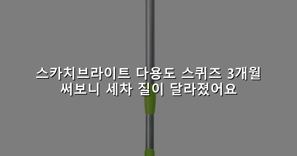 스카치브라이트 다용도 스퀴즈 3개월 써보니 세차 질이 달라졌어요