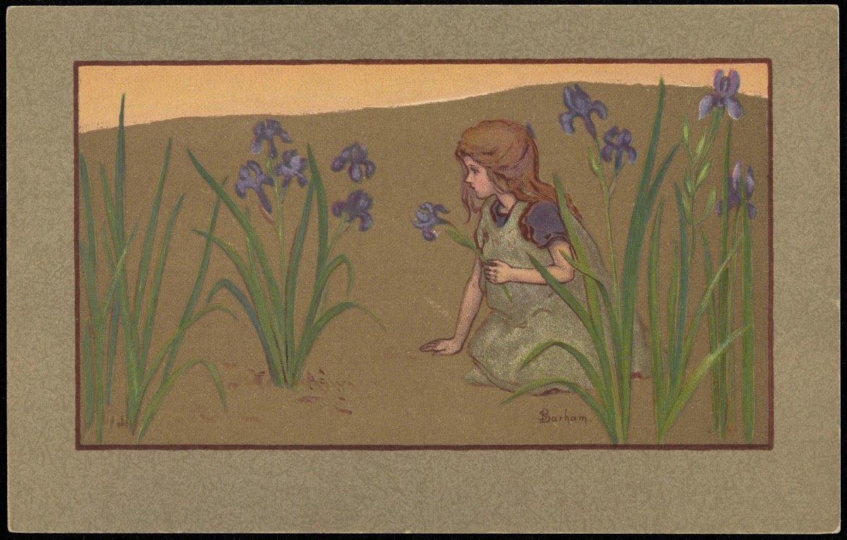 Girl picking irises 1906 1914