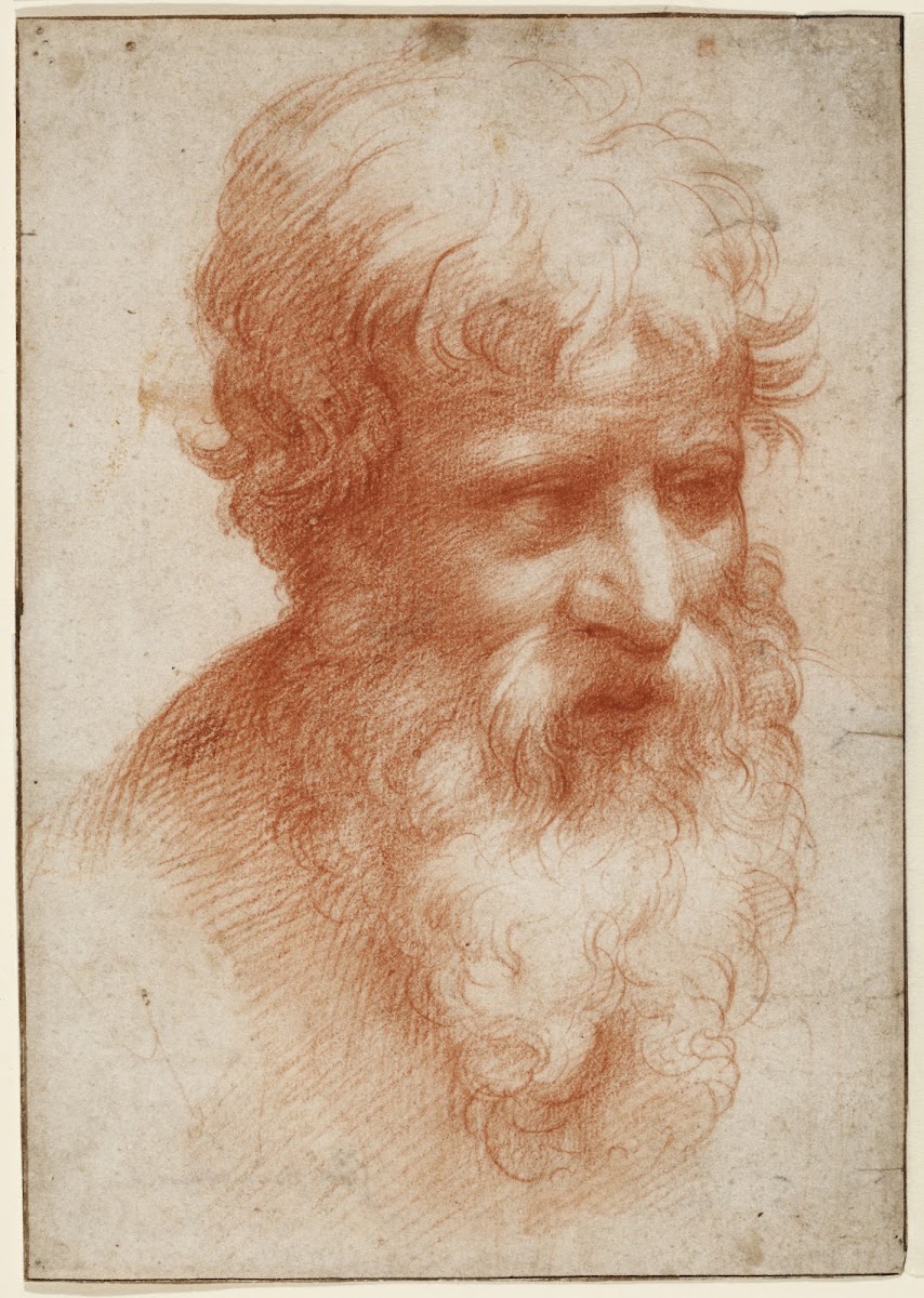 Head of a Bearded Man looking right