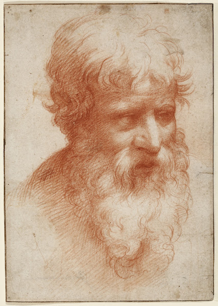 Head of a Bearded Man looking right