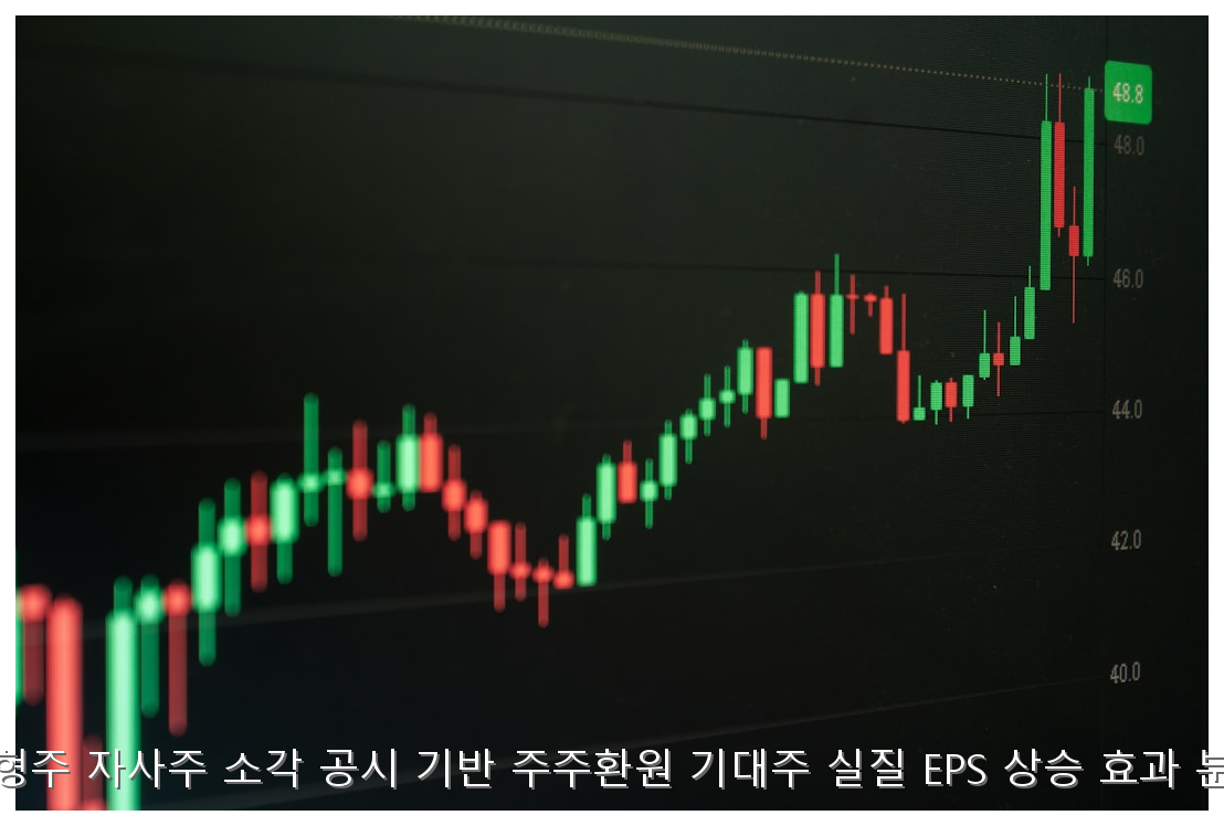 대형주 자사주 소각 공시 기반 주주환원 기대주 실질 EPS 상승 효과 분석 핵심 안내 및 분석 인포그래픽 (7)