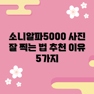 소니알파5000, 소니알파5000 내돈내산, 사진 잘 찍는 법, 왜 소니알파5000을 선택해야 하나, 소니알파5000 추천 이유