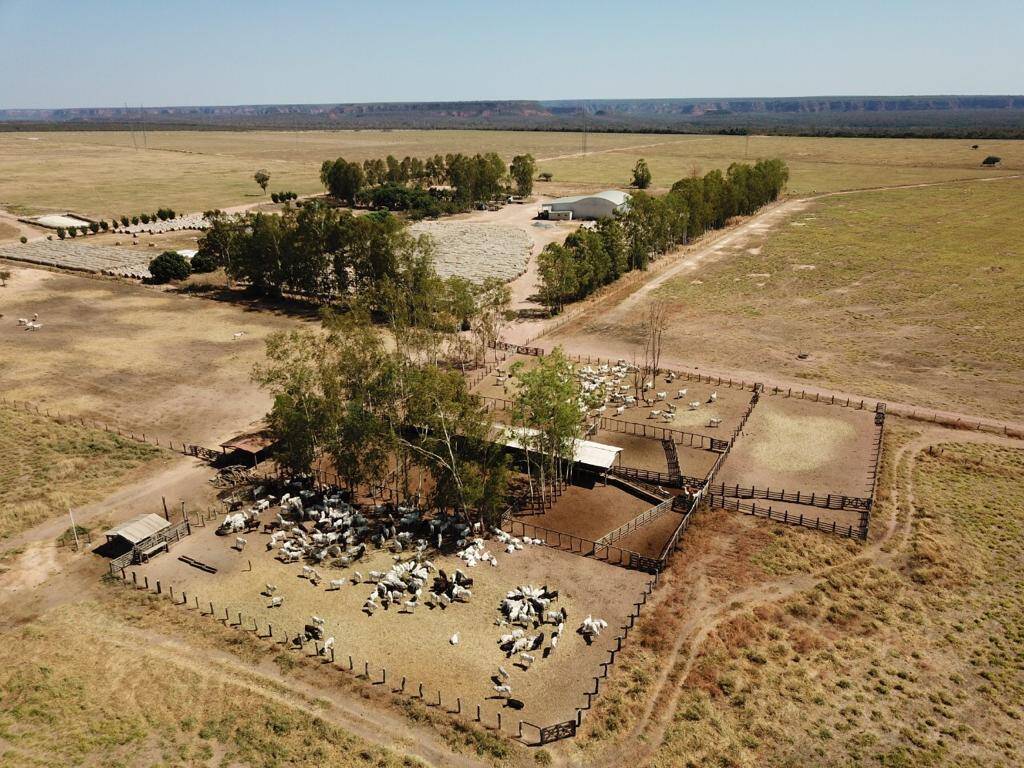Fazenda no Sul do Piauí 3