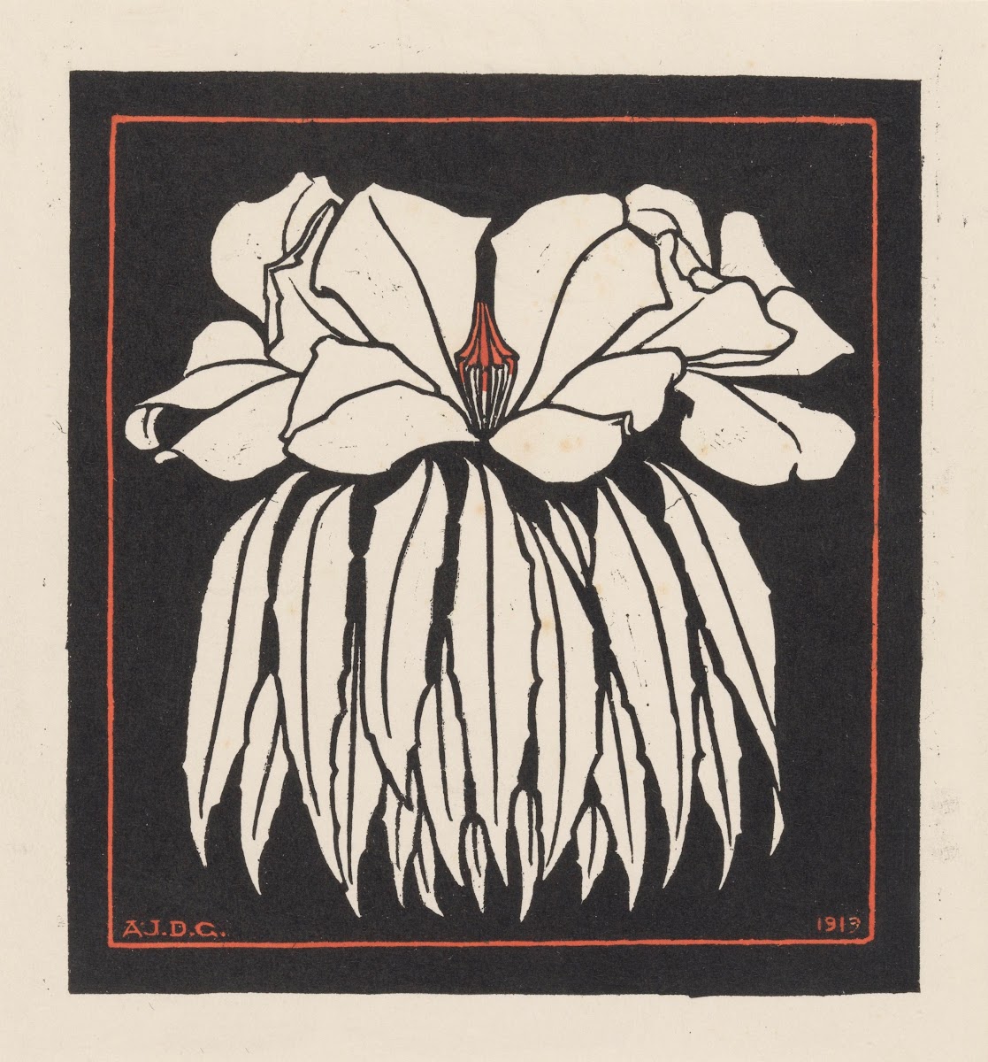 Godetia 1919