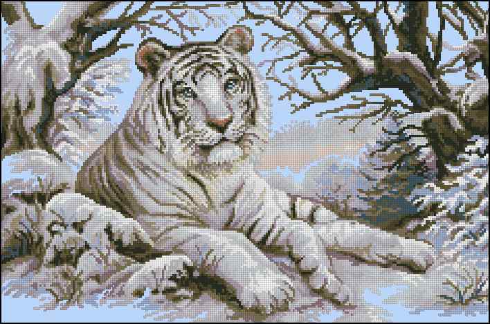 CMP 400737 Bengal Tiger