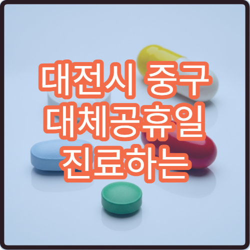 대전시 중구 대체공휴일 진료하는 병원 찾기 야간·주말 운영 병원 정보