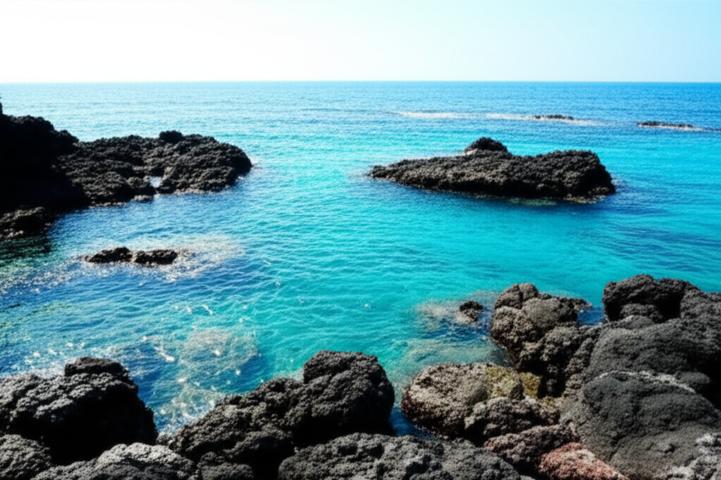 어머니를 향한 애틋함, '제주 해남'의 꿈 🌊